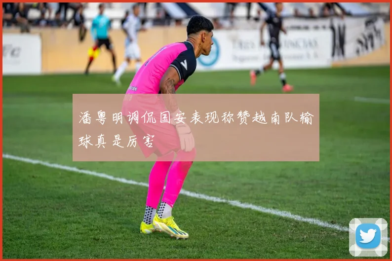 潘粤明调侃国安表现称赞越南队输球真是厉害